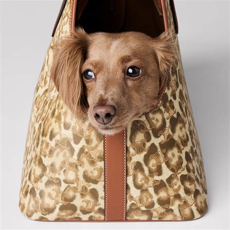 celine for dogs|CELINE Introduces Dog Accessories Lin.